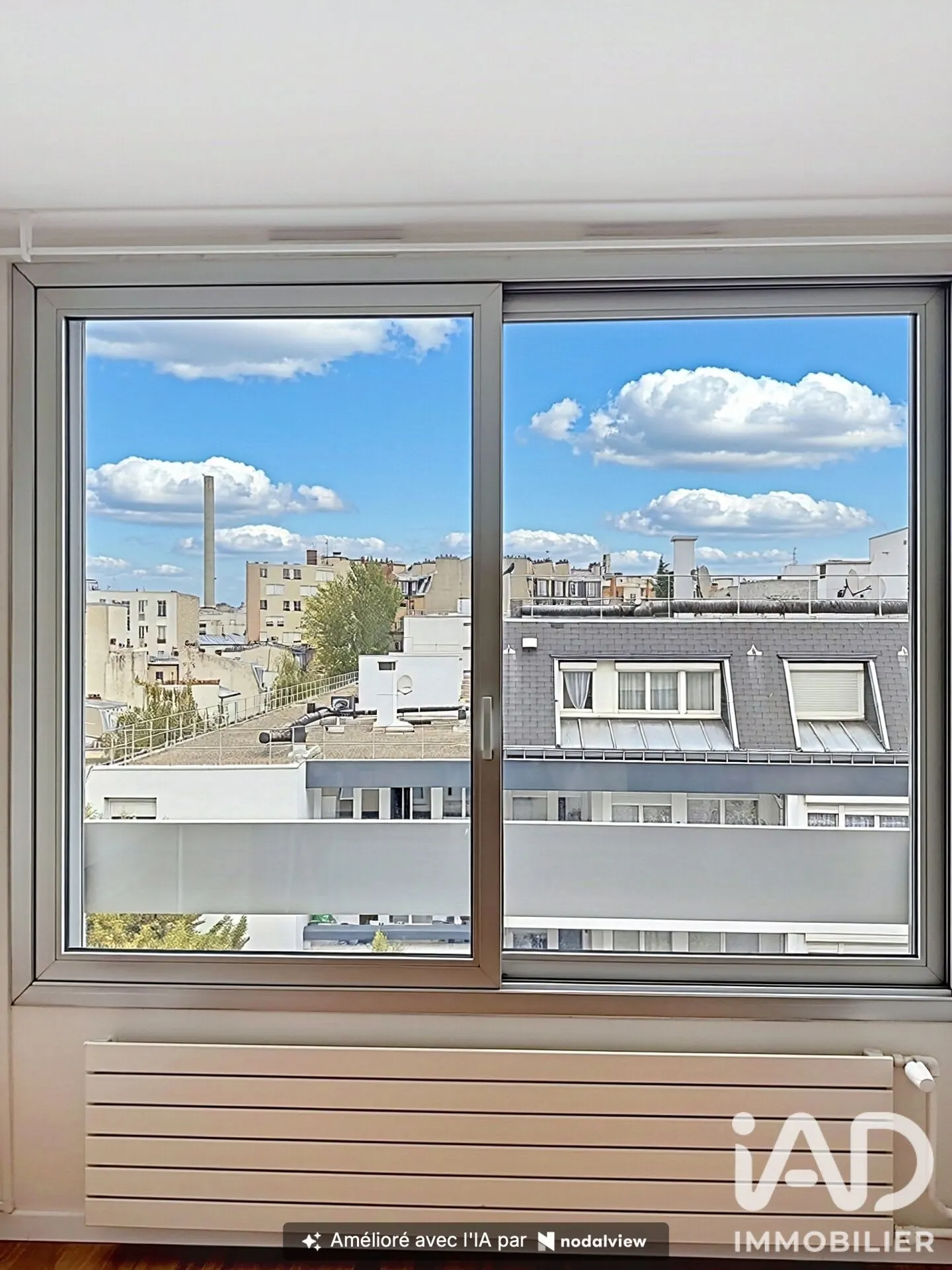 Vue Dégagée Sur Toits